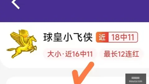 开云体育赞助 103343 31